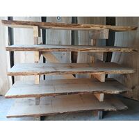 Eiken bladen Opheusden