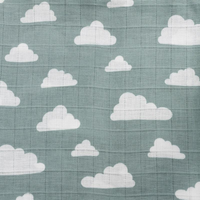 Hydrofiele luiers Feathers-Clouds-Dots jade/wit Meyco